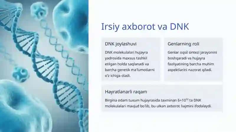 Hujayra yadrosi va irsiy axborot 4