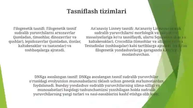 Reptiliyalarning Sistematikasi 4