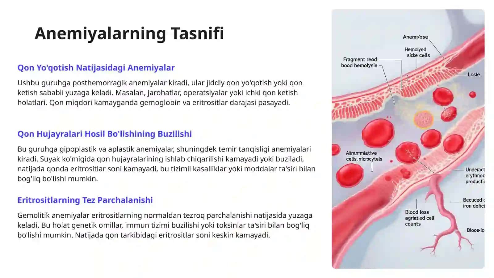 Gipova Aplastik Anemiyalar 4