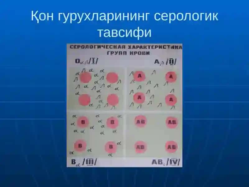 Қон ва қон ўрнини босувчи суюқликлар қуйиш 4