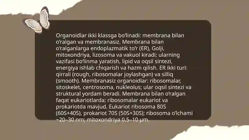 Organoidlarining klassifikatsiyasi 4