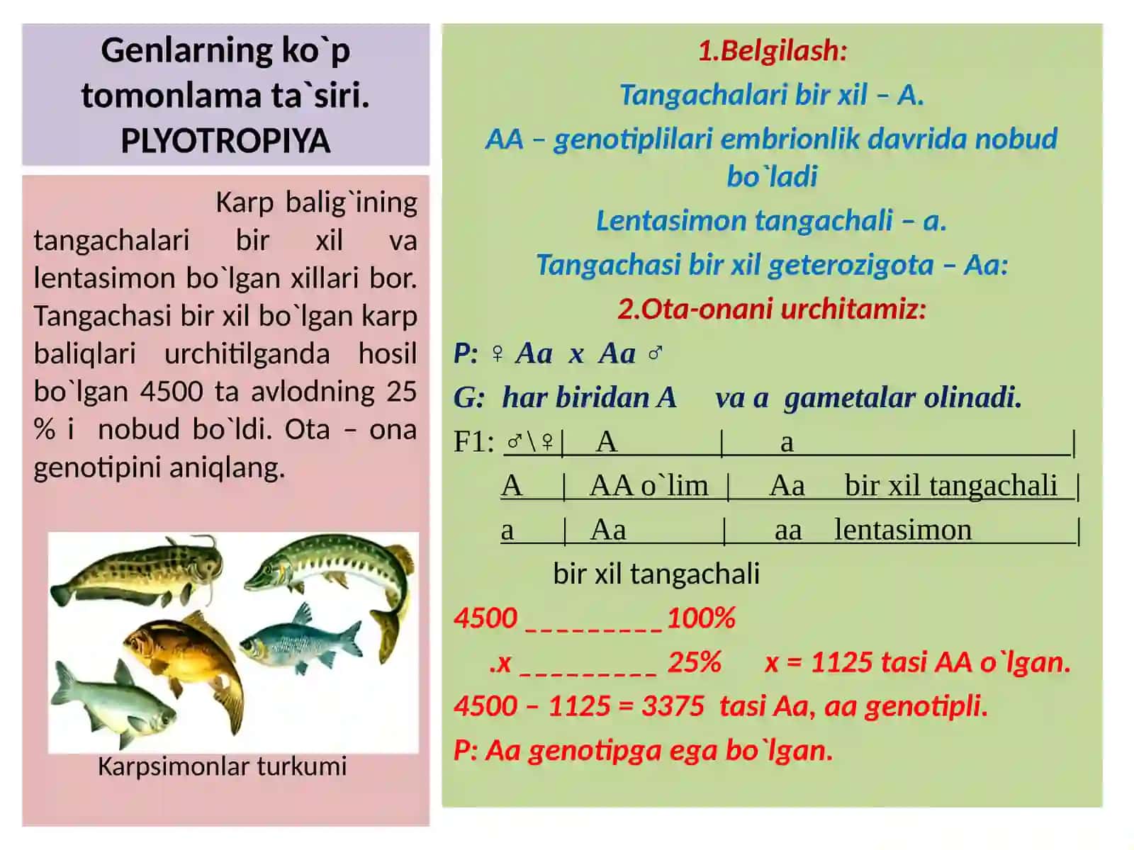 NOALLEL GENLARNING PLEYOTROP TA'SIRI 4