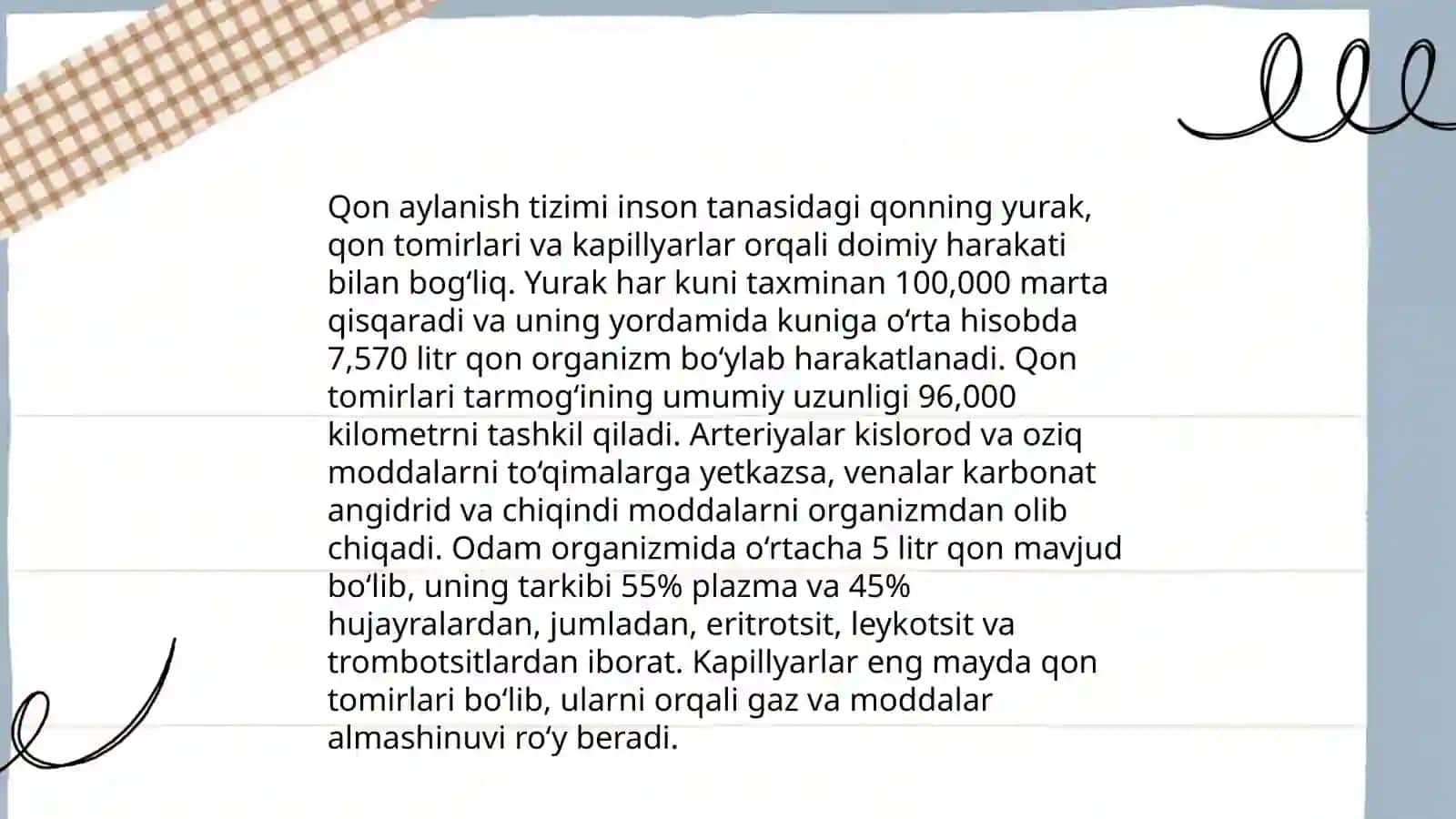 Yurak anatomiyasi 4