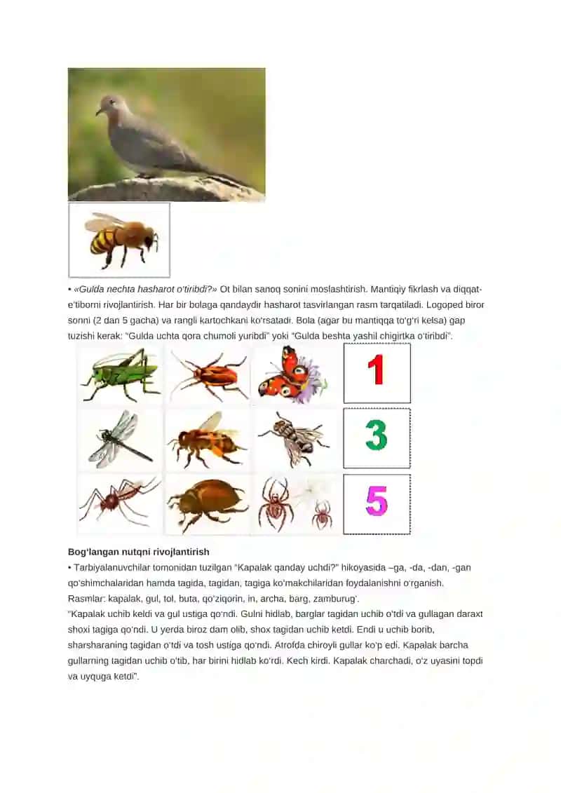 Hasharotlar 4