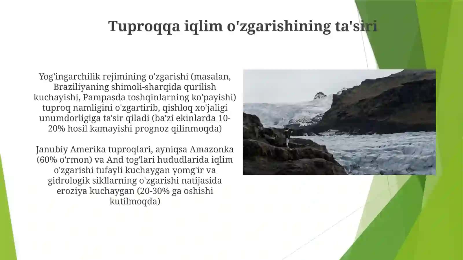 Janubiy Amerika tuproqlari 4
