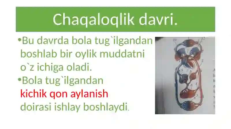 Bolaning o`sishi va rivojlanishi. 4
