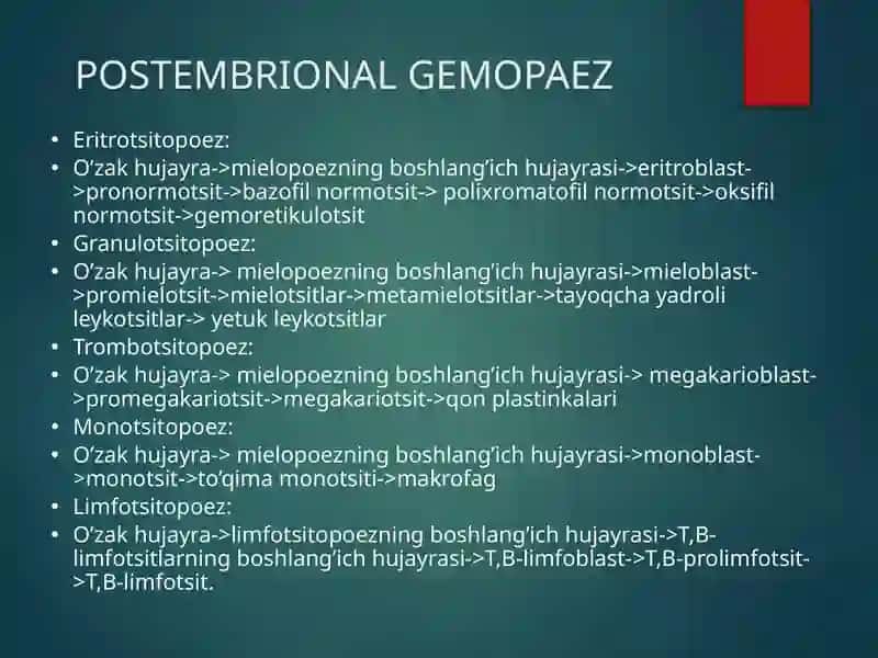 GEMOPOEZ 4