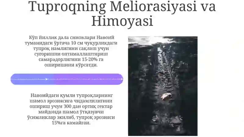 Navoi Tuproqlari 4