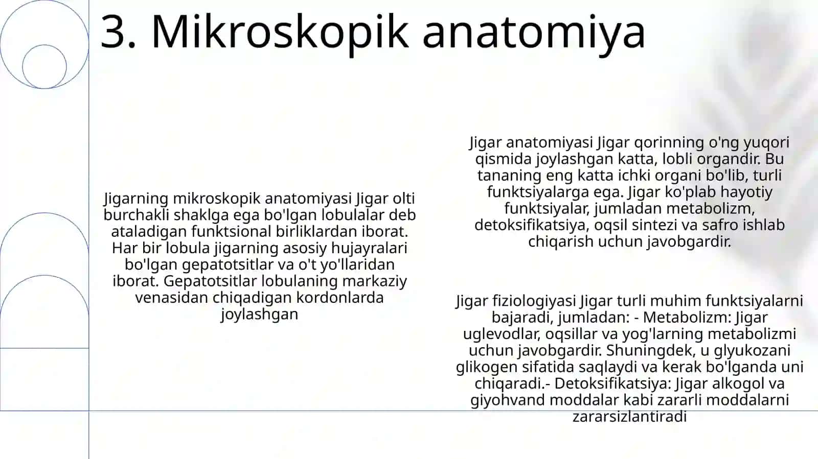 Jigar Anatomiyasi 4