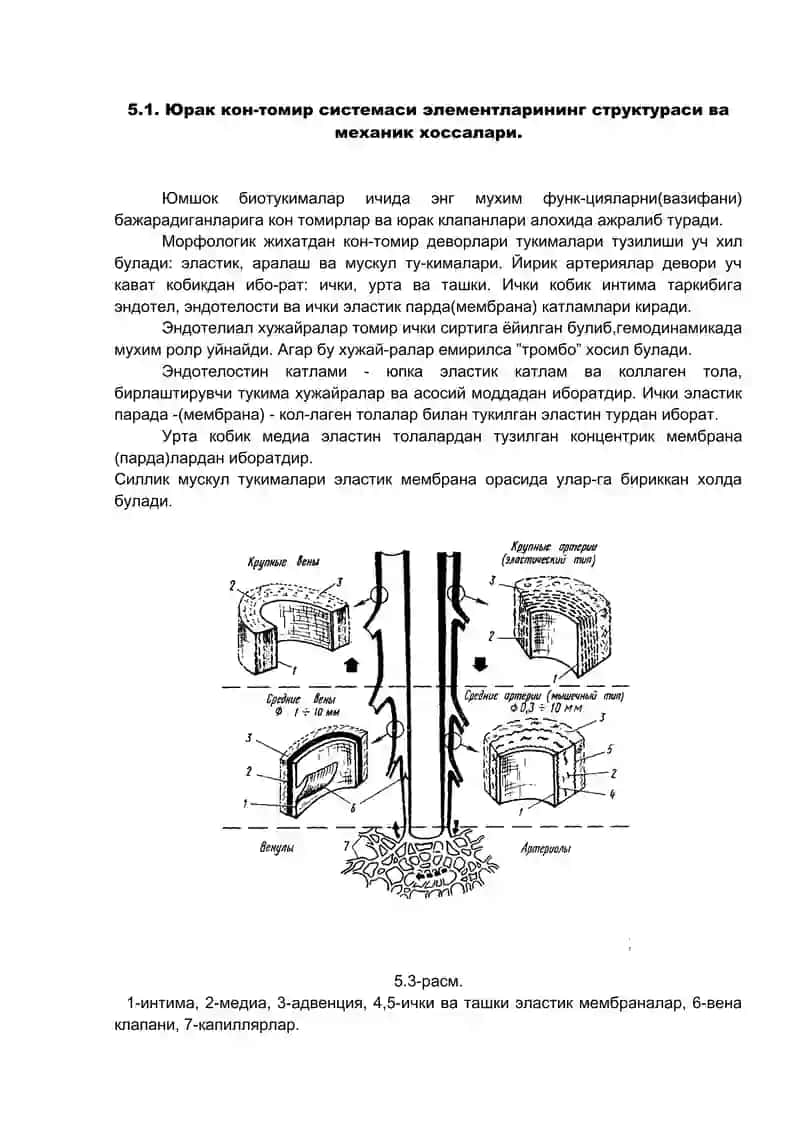 Юмшок биологик тукималар 4