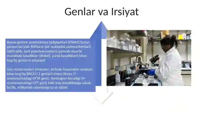 Genetik va irsiy kasalliklar 4