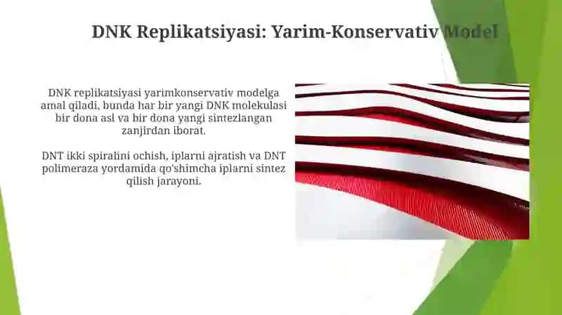 DNK Replikatsiyasi Mexanizmlari 4