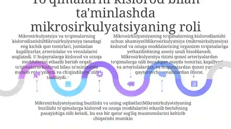 Mikrosirkulyatsiya Haqida Tushuncha 4
