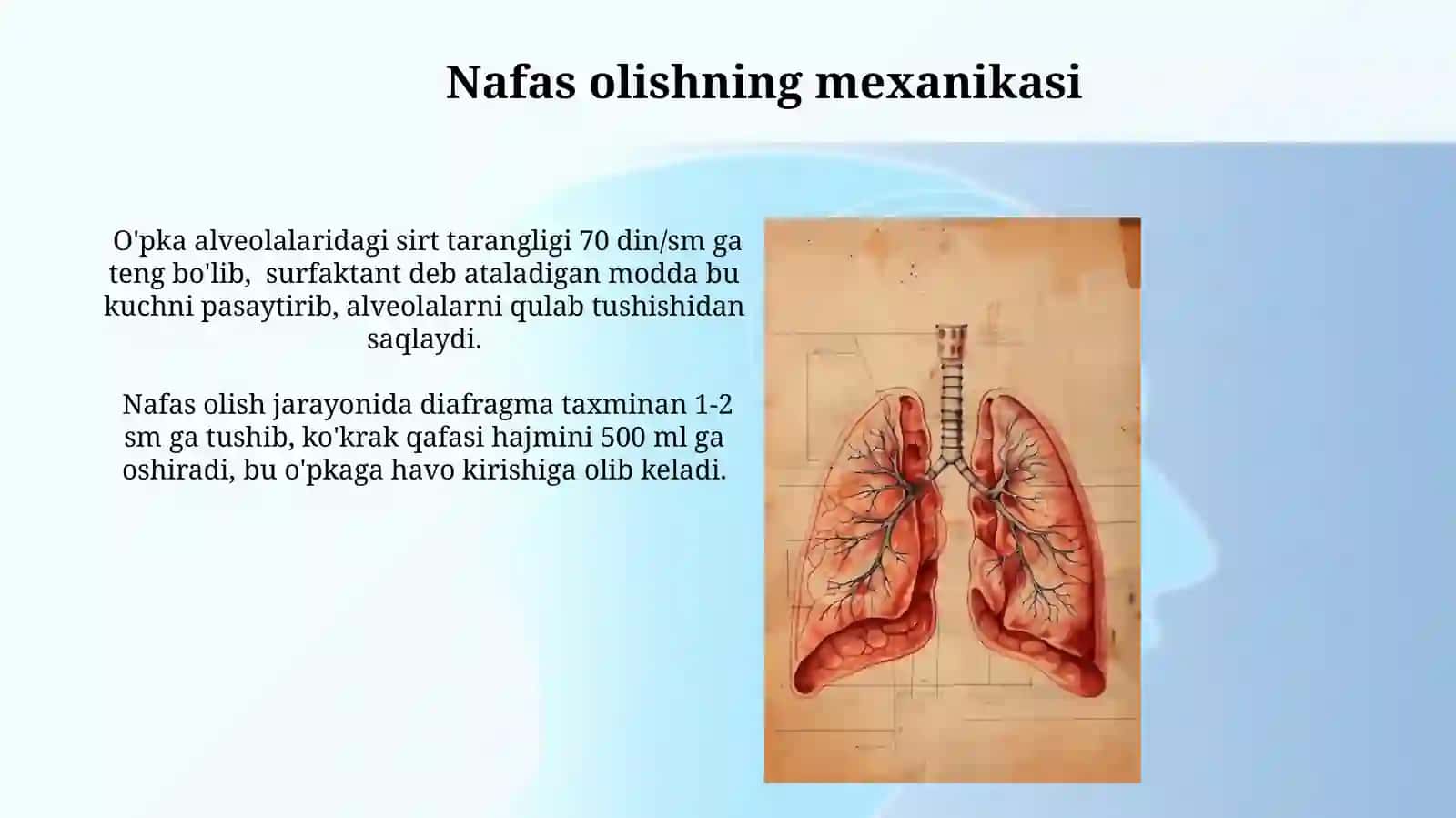 Nafas olish sistemasining fizikasi 4