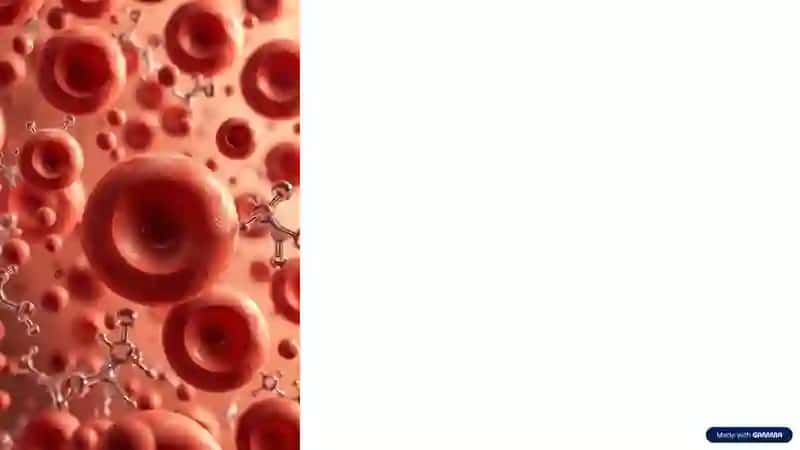 Blood-Groups-and-Compatibility-Rules-What-You-Need-to-Know 4