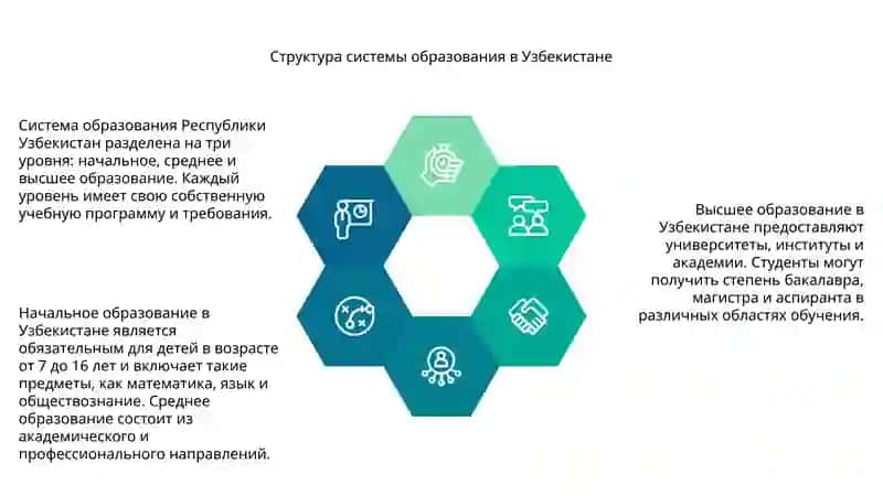 Система образования Республики Узбекистан 4