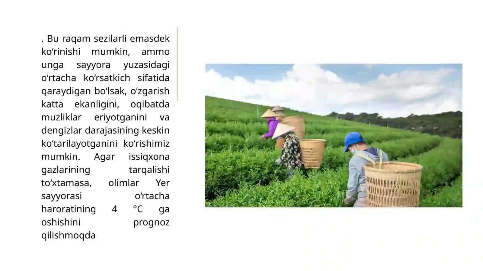 Iqlim o‘zgarishi va uning oqibatlari 4