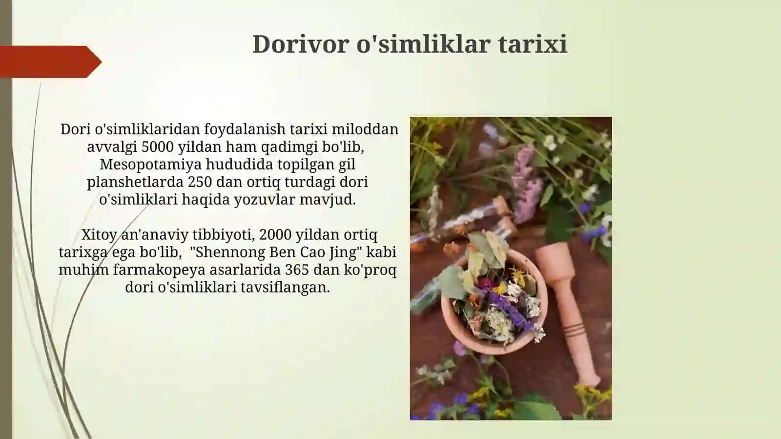 Dorivor O'simliklar 4