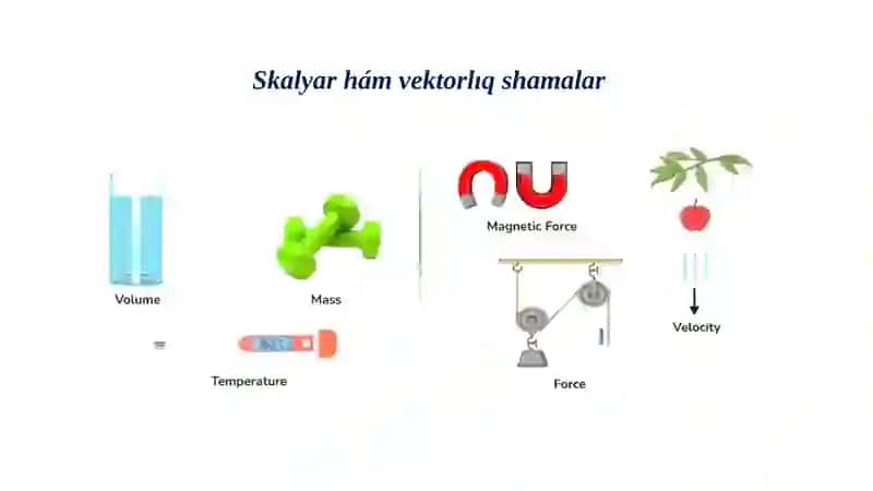 Skalyar hám vektorlıq shamalar_5E 4