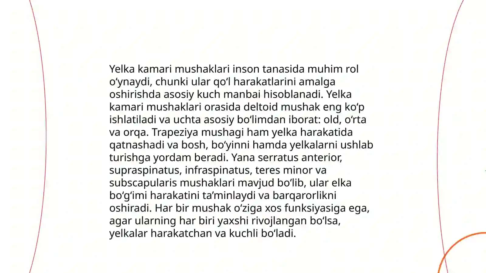 Yelka kamari anatomiyasi 4
