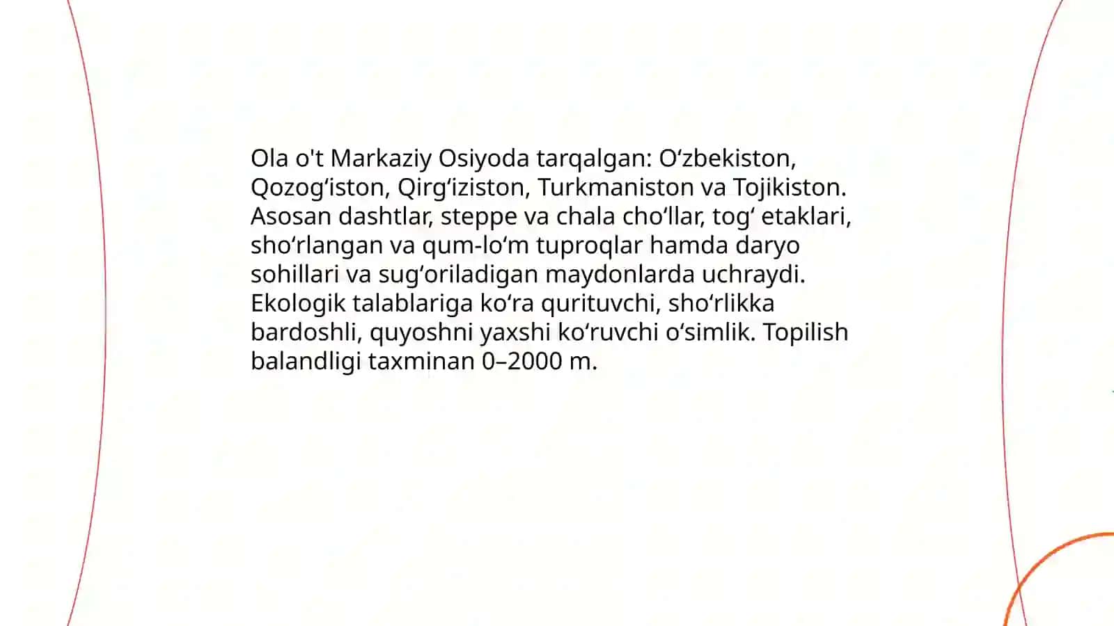 Ola ôt 4