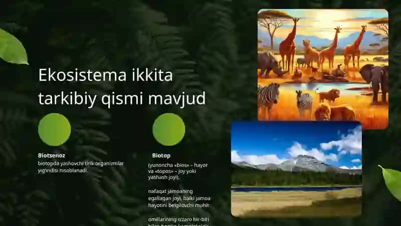 Ekosistemaning tarkibiy qismlari. 4