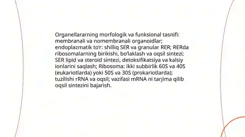 Sitoplazma Organoidlarining Klassifikatsiyasi 4