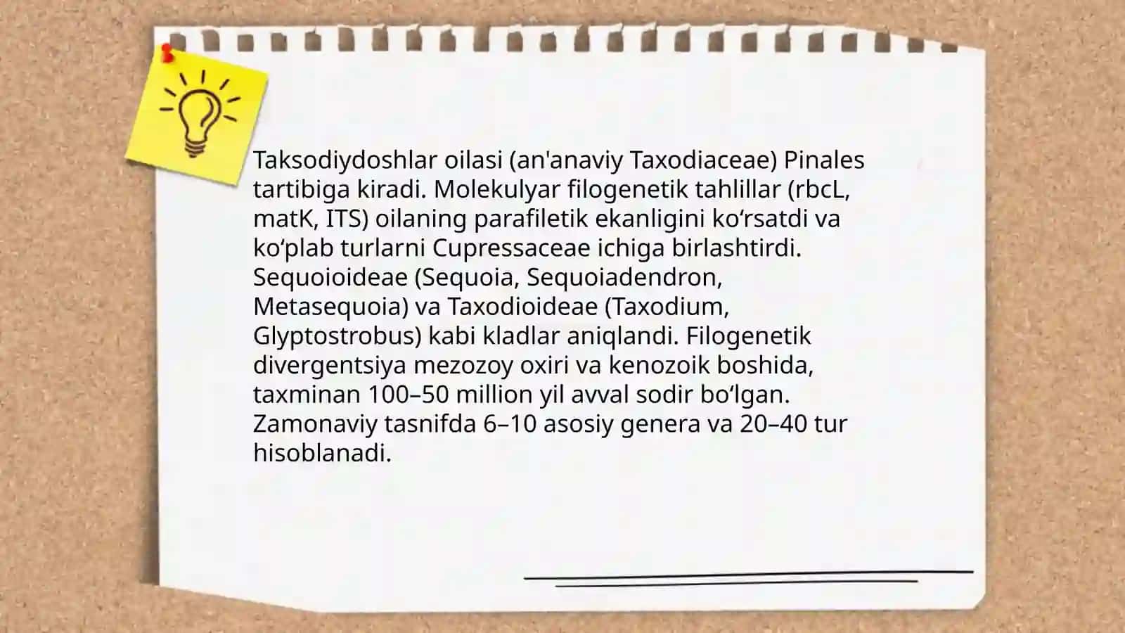 Taksodiydoshlar oilasi 4