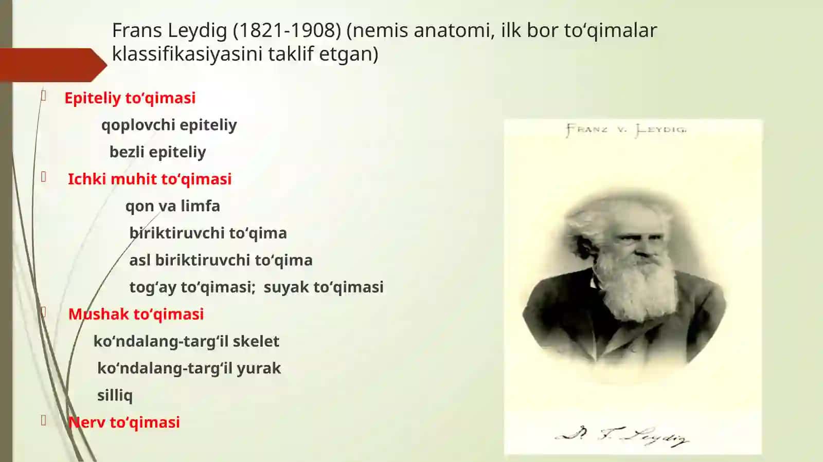 To’qimalar haqidagi ta'limot. Epitеliy to’qimasi 4