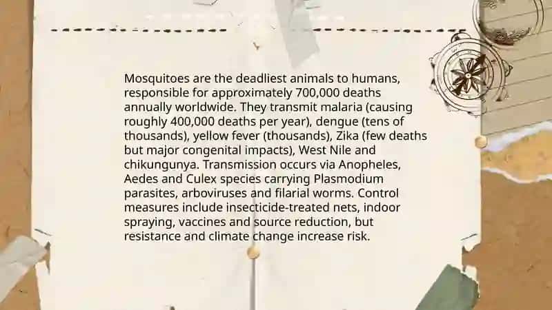 The most dangerous animal in the world 4