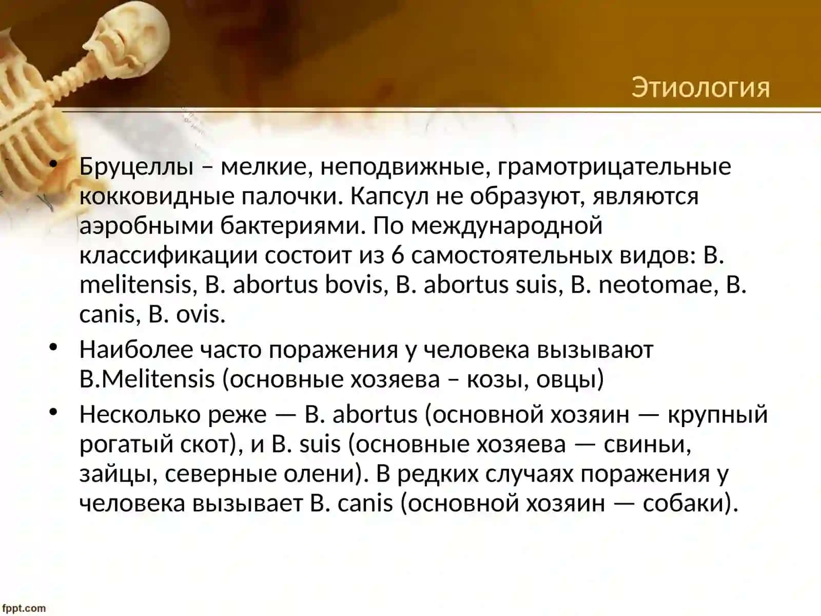 Нейробруцеллез,нейросифилисинейроспид(ВИЧ-инфекция) 4