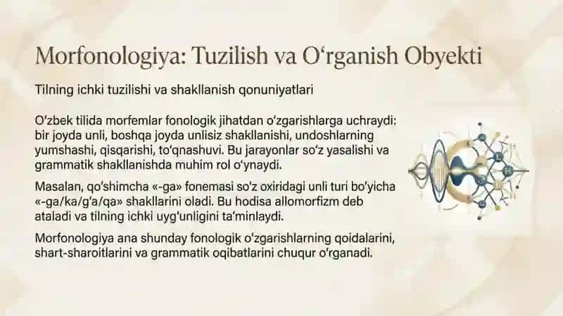 Morfonologiya va uning o‘rganish obyekti 4