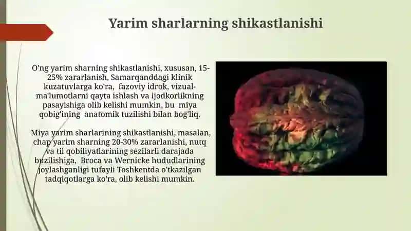 Miya yarim sharlarining tuzilishi 4