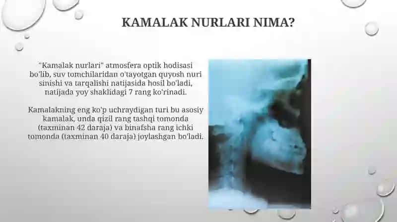 Kamalak nurlari 4