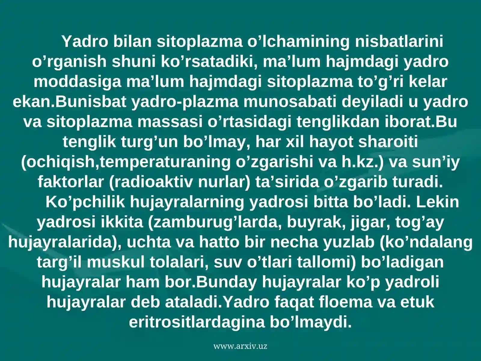 Yadrocha 4