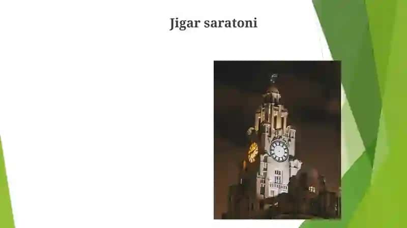 O'tqopi va jigar 4