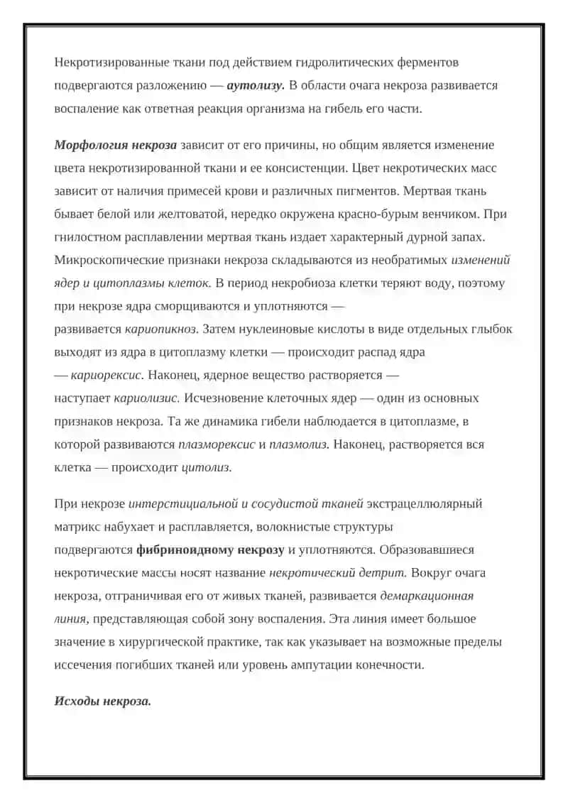 АПОПТОЗ НИКРОЗ СТРОЕНИАКЛЕТКИ 4