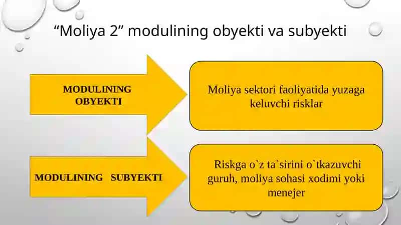 Moliyaviy risklarning mohiyati va ahamiyati 4