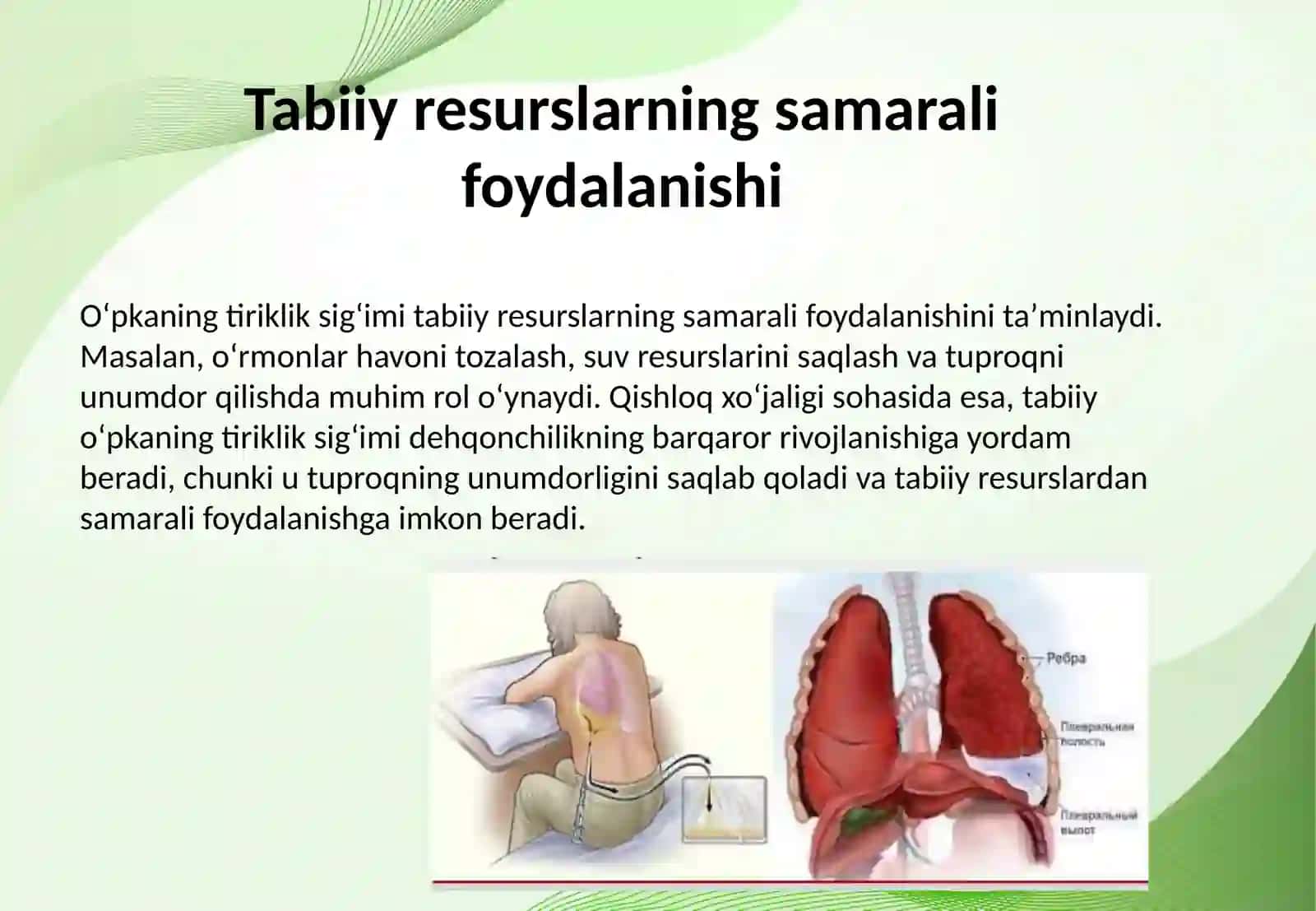 Oʻpkaning tiriklik sigʻimi 4
