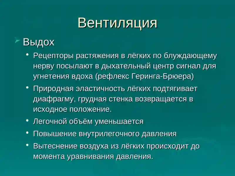 Респираторная поддержка 4