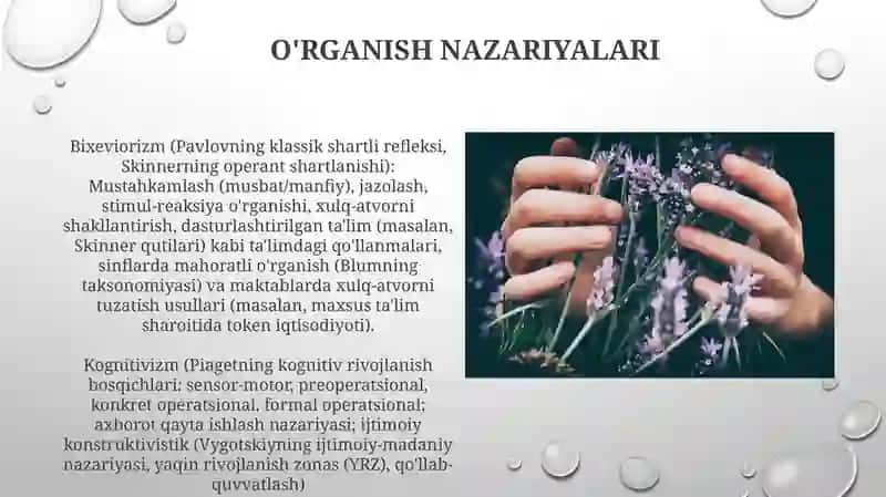 Inklyuziv ta'lim pedagogikasi 4