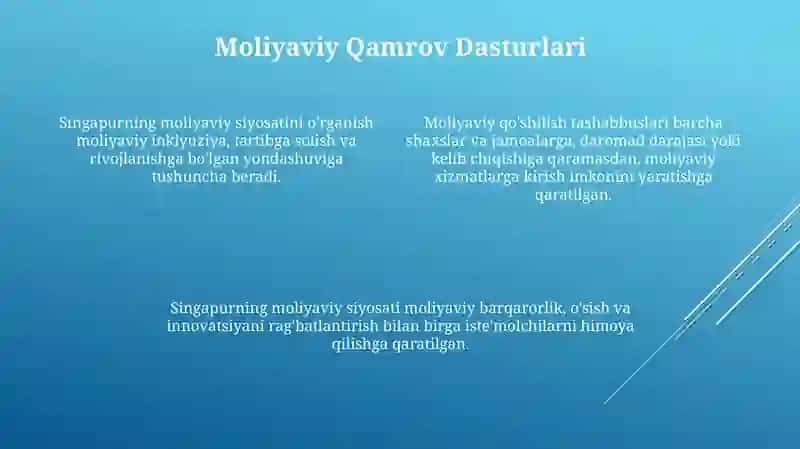 Singapur moliya siyosatini o‘rganish 4