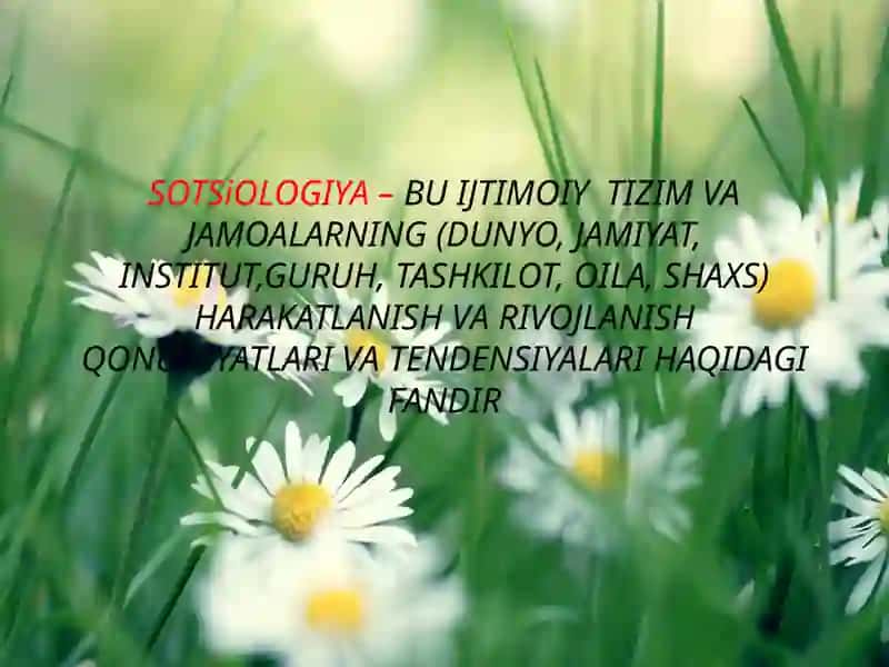 SOTSIOLOGIYA 4