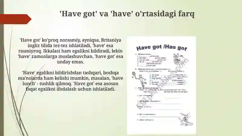 Mavzu: Have/has got 4