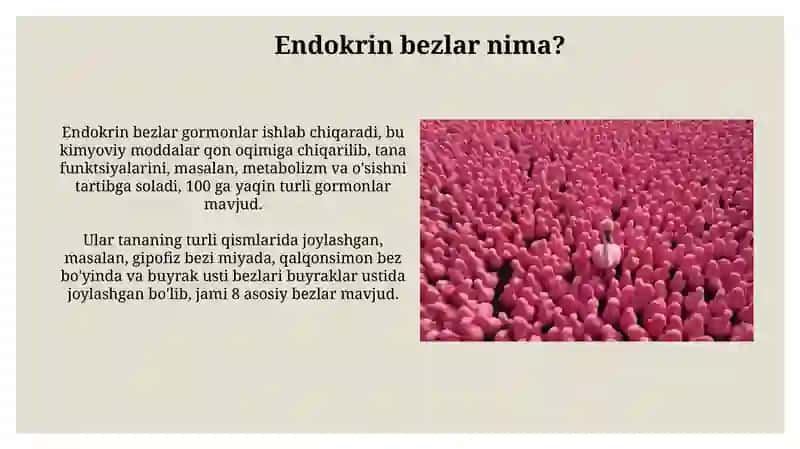 Ichkisekretsiyabezlariaytishaxolari 4