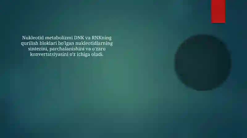 Nukleotidlar almashinuvi 4