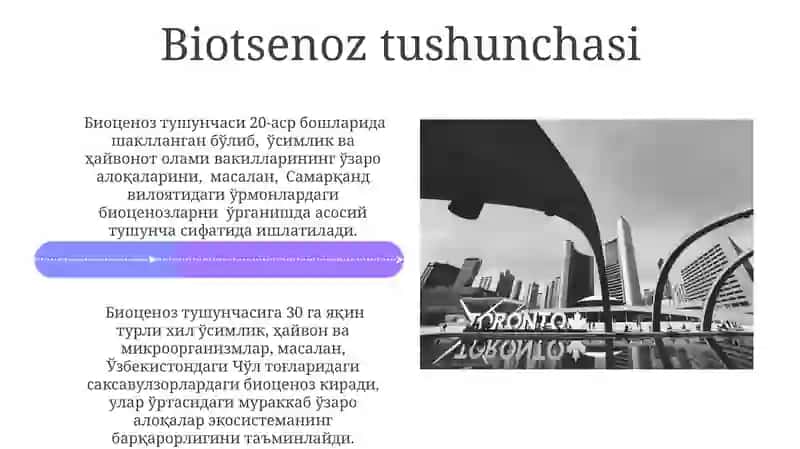 Biosenoz va Ekotizmlarning tuzilmalari va xususiyatlari 4