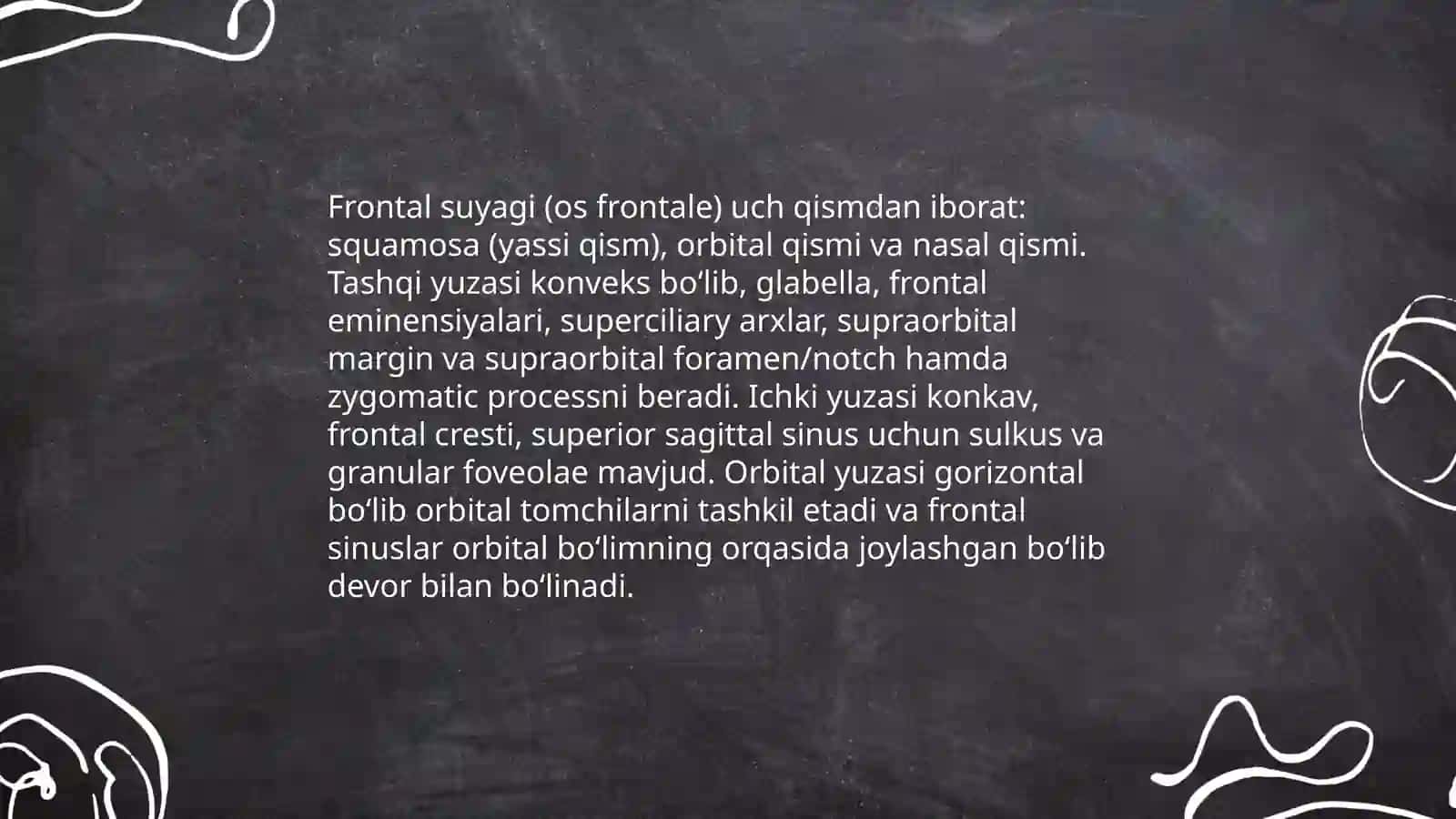 Tepa suyagi anatomiyasi 4