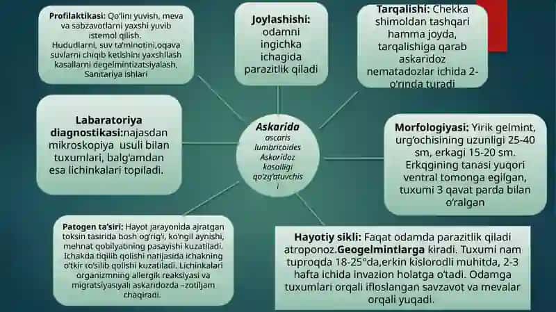 Yumaloq chuvalchanglar 4