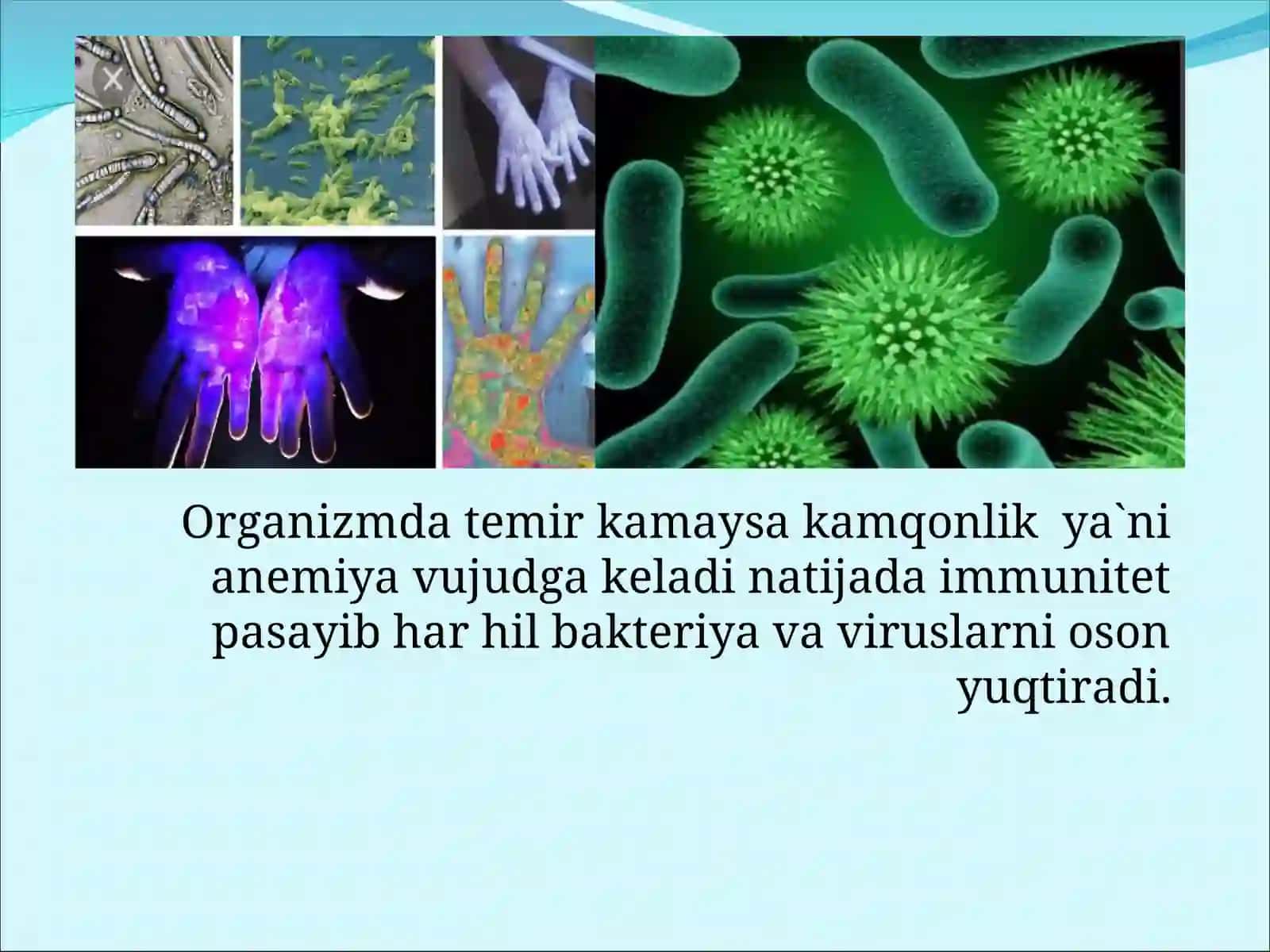 Temir va uning birikmalari ishlatilishi ahamiyati 4